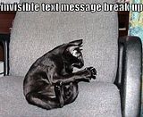11-Cat-Invisible-Text-Message-Breakup.jpg image by antanea3